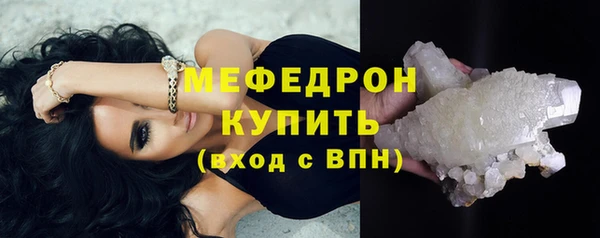стаф Дмитров