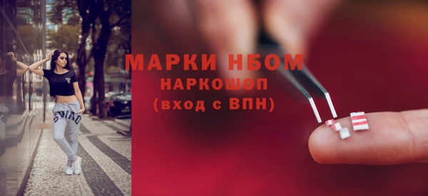 стаф Дмитров