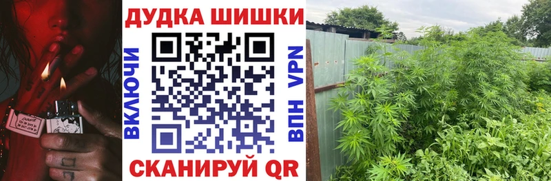 Купить где Лабытнанги МАРИХУАНА AK-47